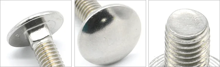 M6 M8 Coach Bolt 18-8 Stainless Steel DIN603 A2 M10 Mushroom Head Square Neck Carriage Bolt