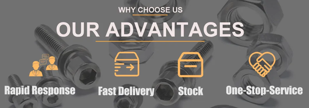 M6 M8 Coach Bolt 18-8 Stainless Steel DIN603 A2 M10 Mushroom Head Square Neck Carriage Bolt