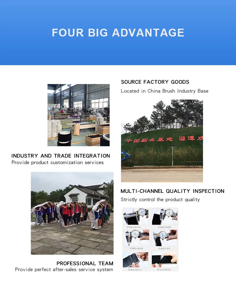 Manufacturer Customized Horse Sisal Hair Nylon Door Sweeps Aluminium Seal Strip Brush