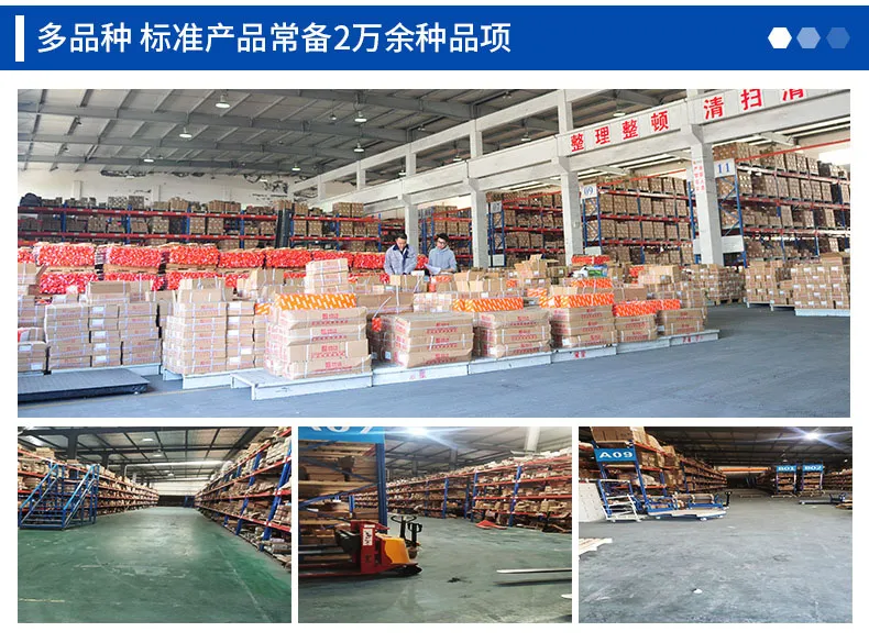 Manufacturer′s Direct 304 Stainless Steel Carriage Screw DIN603 Carriage Head Bolt M6 / M12