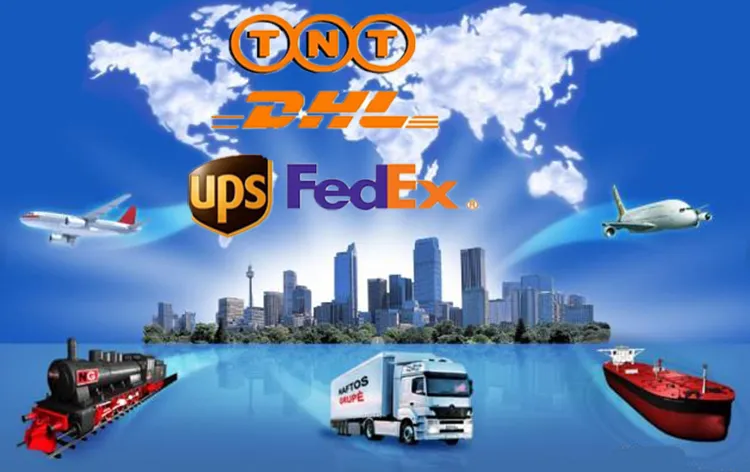 Medical Bone Fracture Phalange Metacarpus Locking Plate