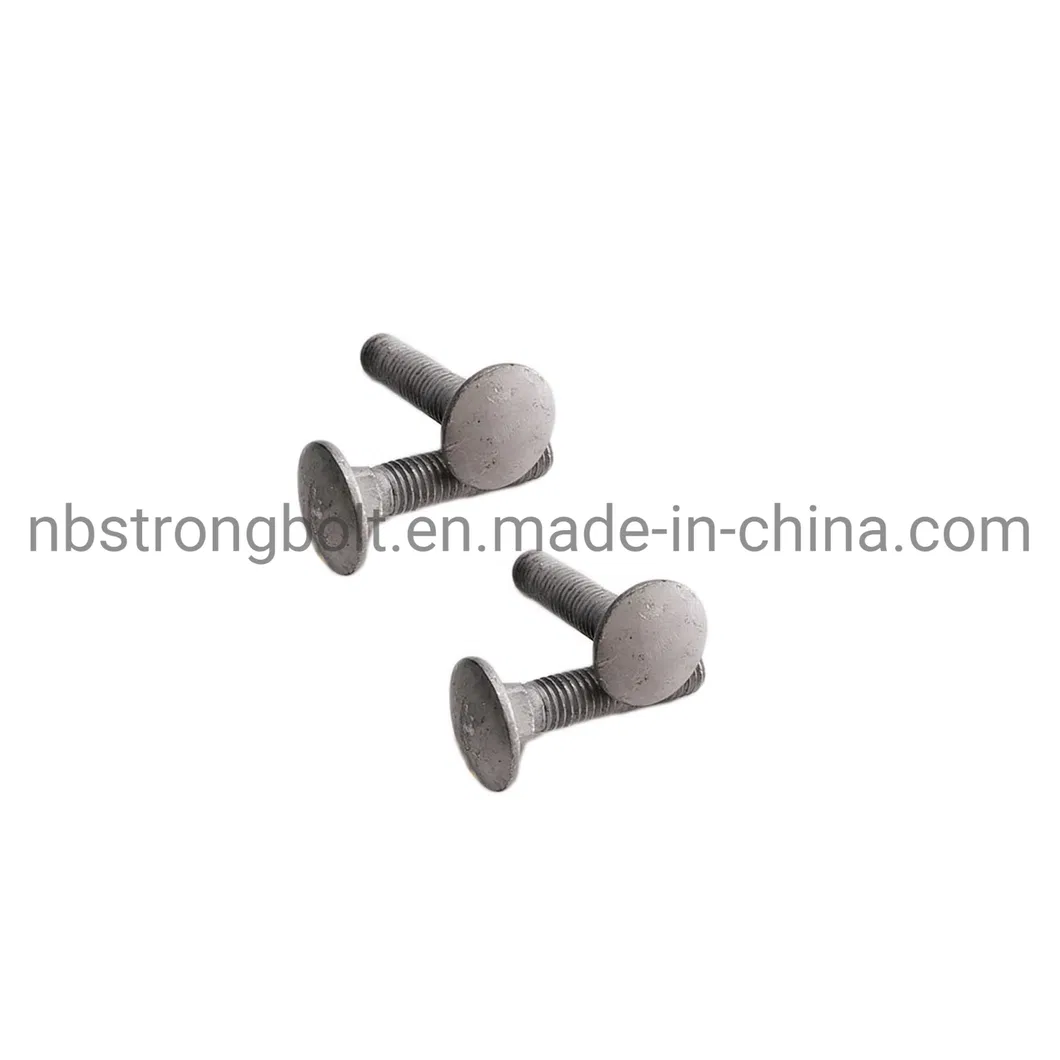Mushroom Head Square Neck Bolt Screw with Cl. 4.8