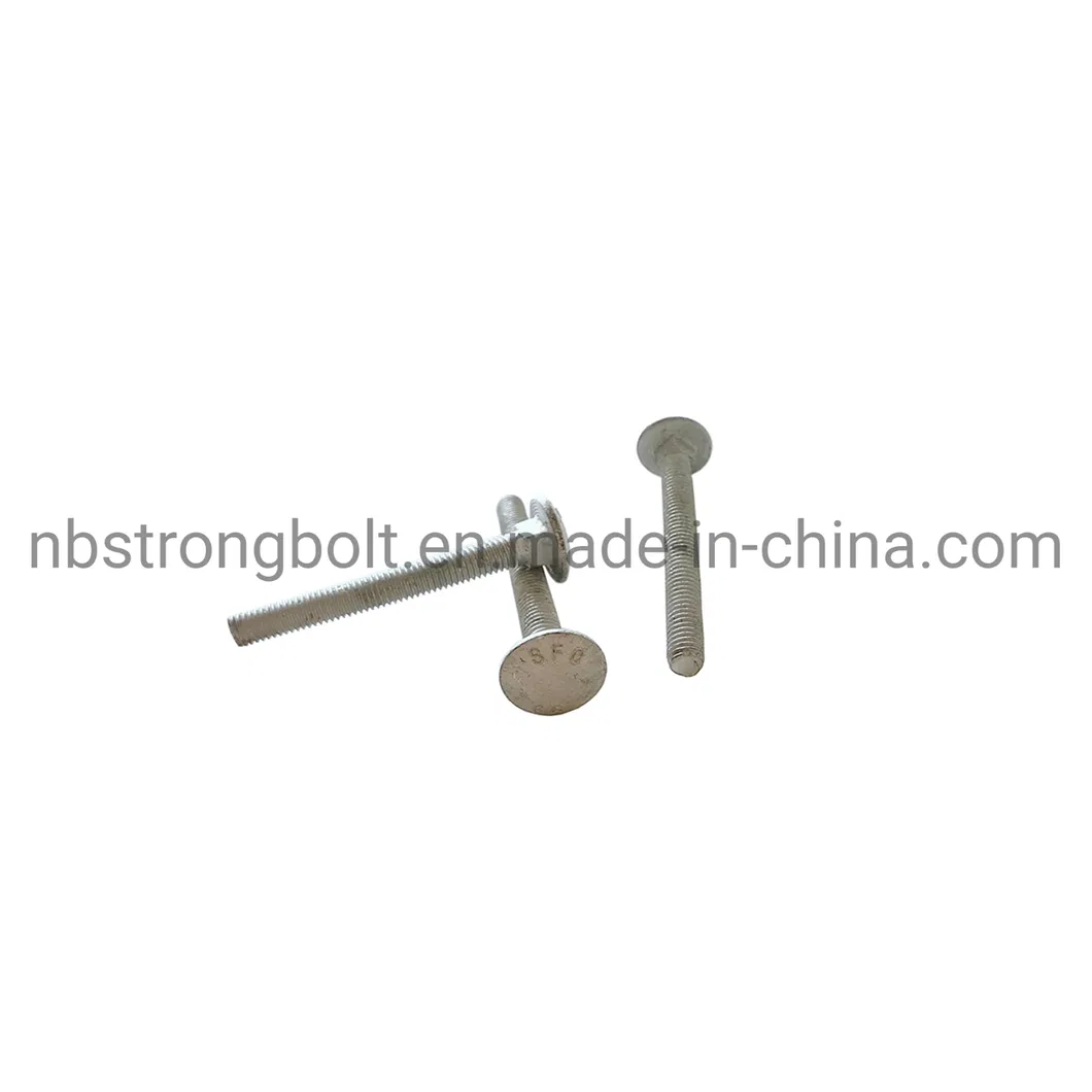 Mushroom Head Square Neck Bolt Screw with Cl. 4.8