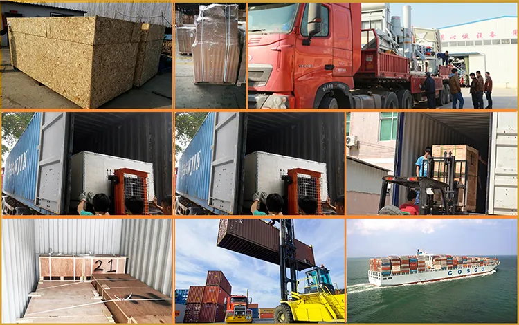 Oat Seed Cleaning Machine Seed Cleaner