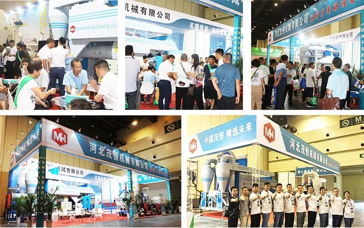 Oat Seed Cleaning Machine Seed Cleaner