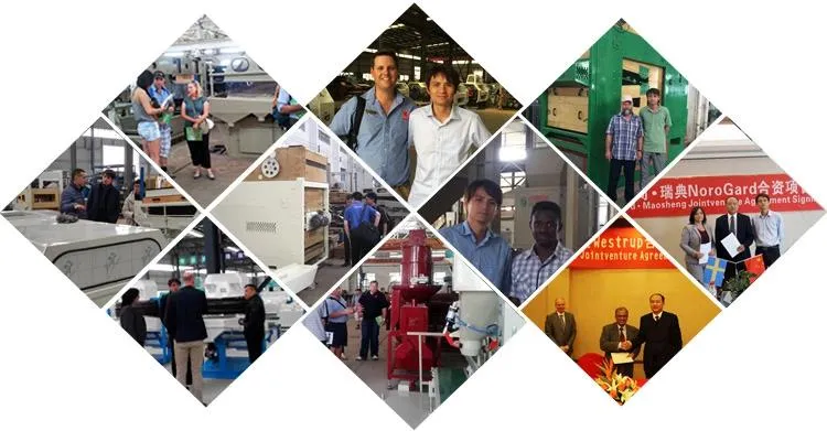 Please Click Here Completed Automatic 10 Ton Per Day Wheat/Maize/Grain Flour Milling Machine Is Your Need