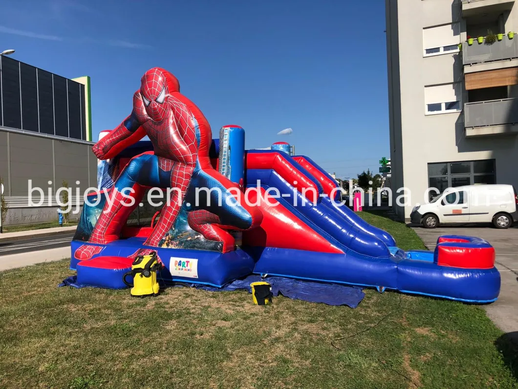 Princess Theme Inflatable Bounce Castle Combo for Sale