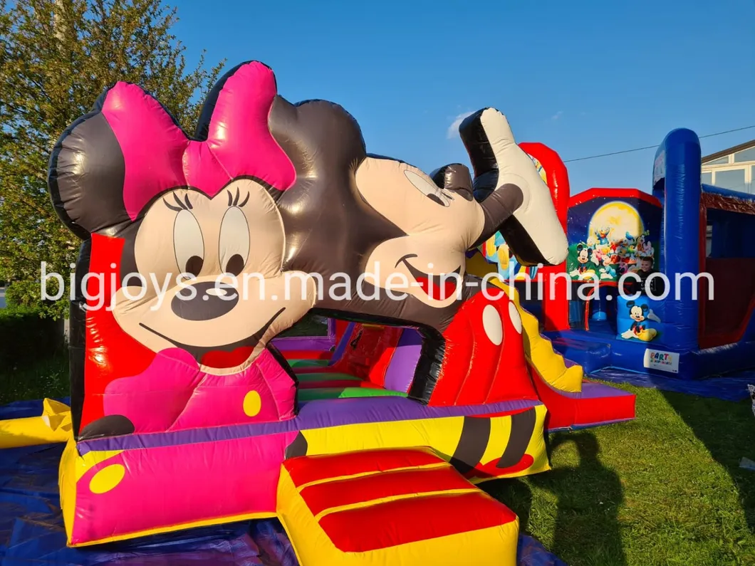 Princess Theme Inflatable Bounce Castle Combo for Sale