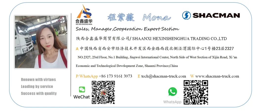 Professional Design Camion Benne 6X4 8X4 Shacman Dongfeng Dump Truck Price