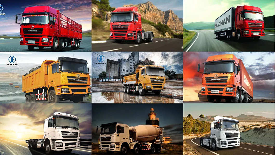 Professional Design Camion Benne 6X4 8X4 Shacman Dongfeng Dump Truck Price