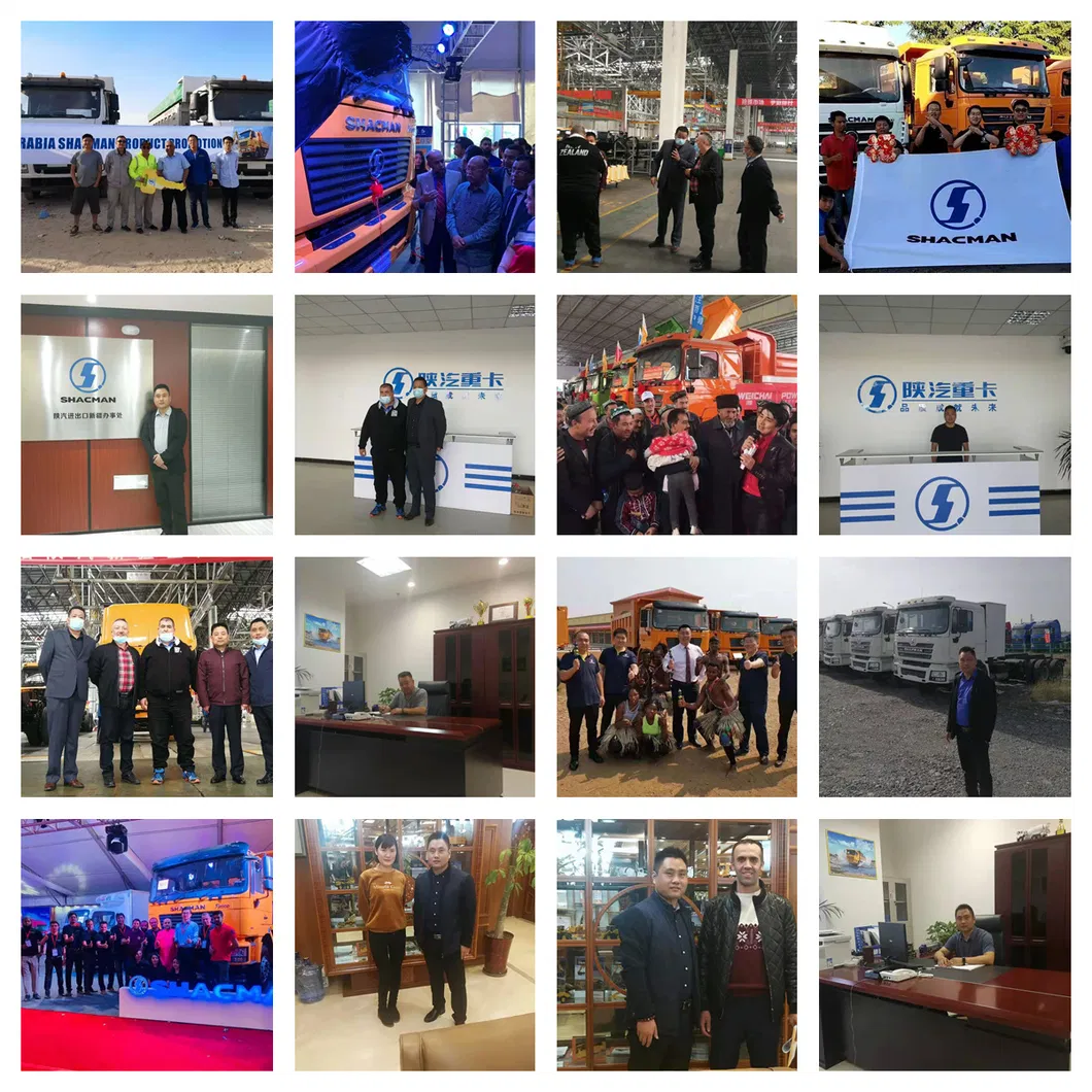 Professional Design Camion Benne 6X4 8X4 Shacman Dongfeng Dump Truck Price