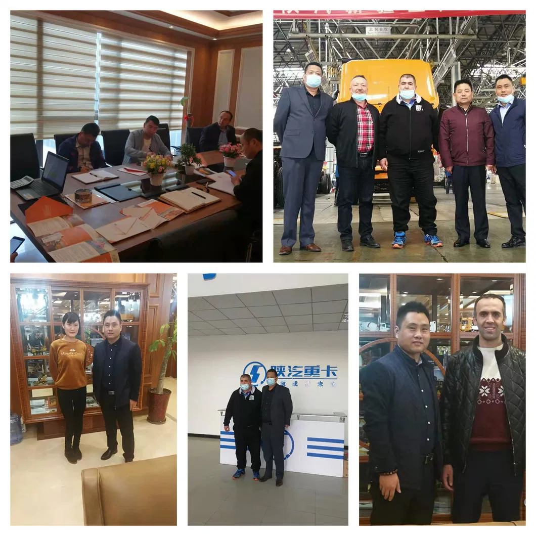 Professional Design Camion Benne 6X4 8X4 Shacman Dongfeng Dump Truck Price