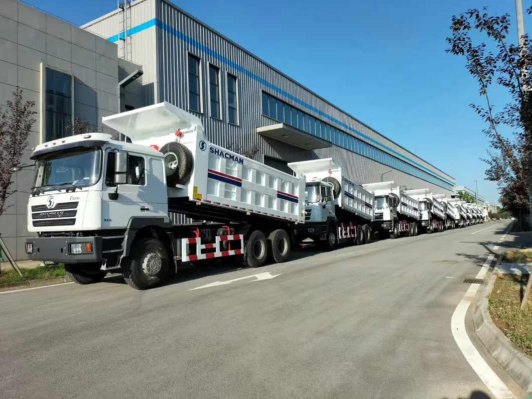 Professional Design Camion Benne 6X4 8X4 Shacman Dongfeng Dump Truck Price