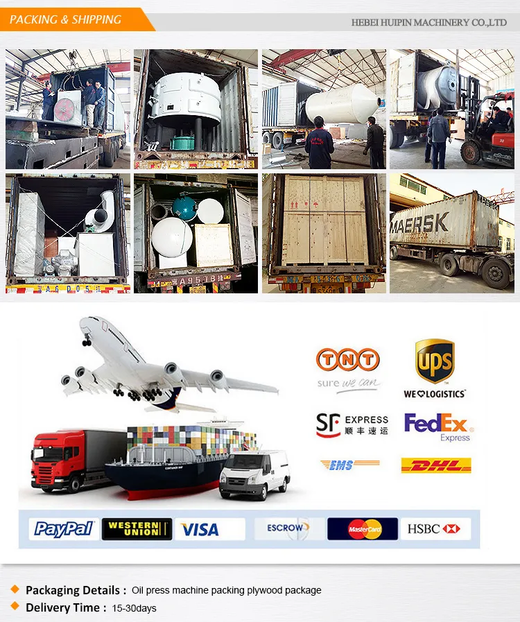 Promotion Commercial Automatic Big Cacao Linseed Oil Press Machine