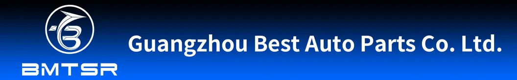 Rear Right Tailgate Gas Strut for E7051247332696 51244887652