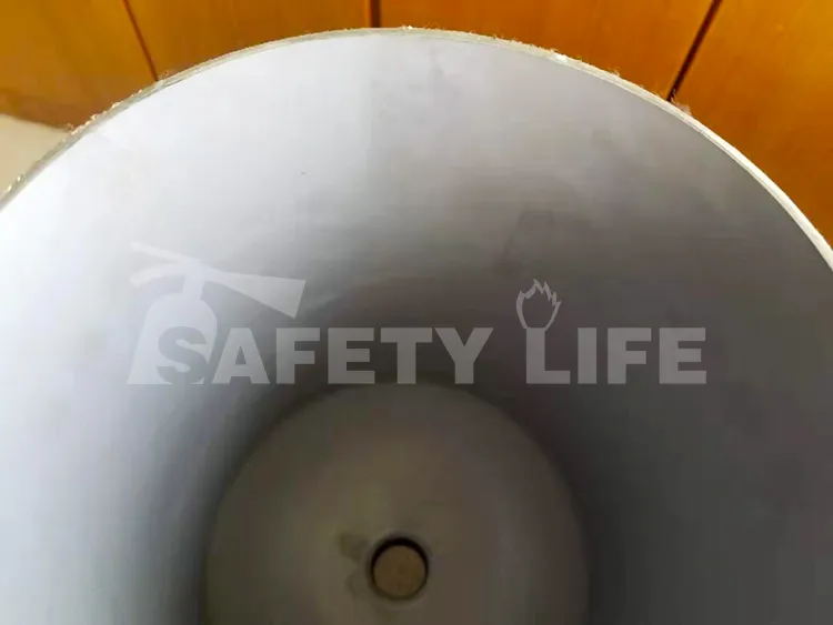 Safety Life Foam Afff Water Mist Fire Extinguisher 6L 9L