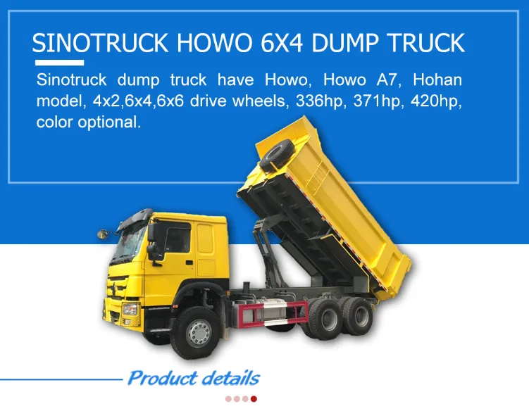 Sinotruk HOWO Truck for Tanzania Used Tipper Trucks with Prices