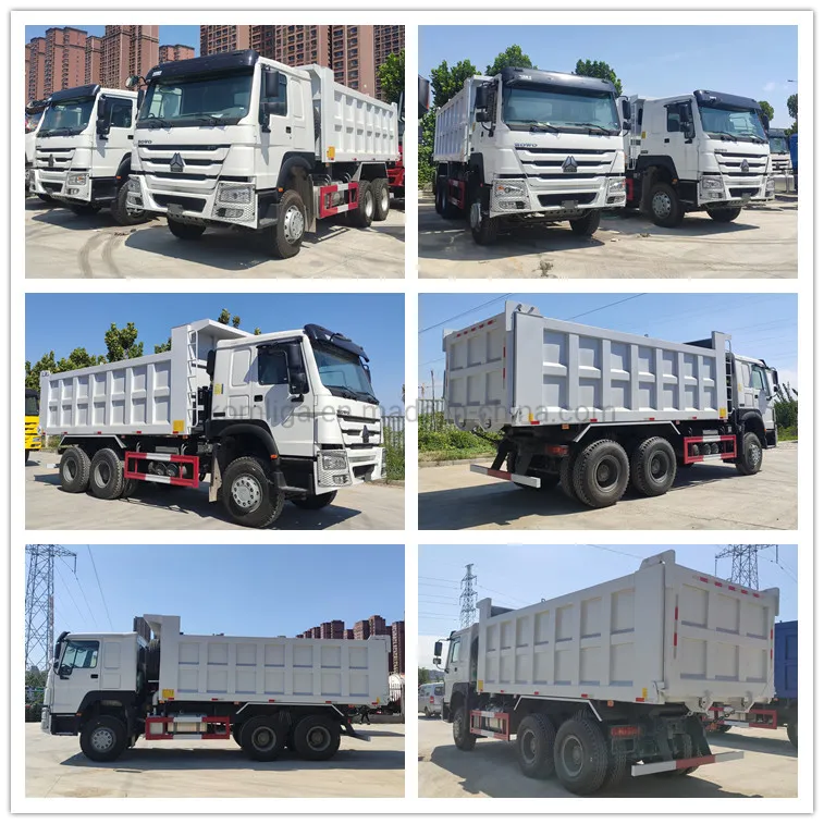Sinotruk HOWO Truck for Tanzania Used Tipper Trucks with Prices