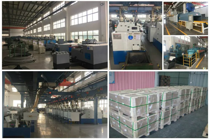 Slotted Hex Flange Screws White Zinc