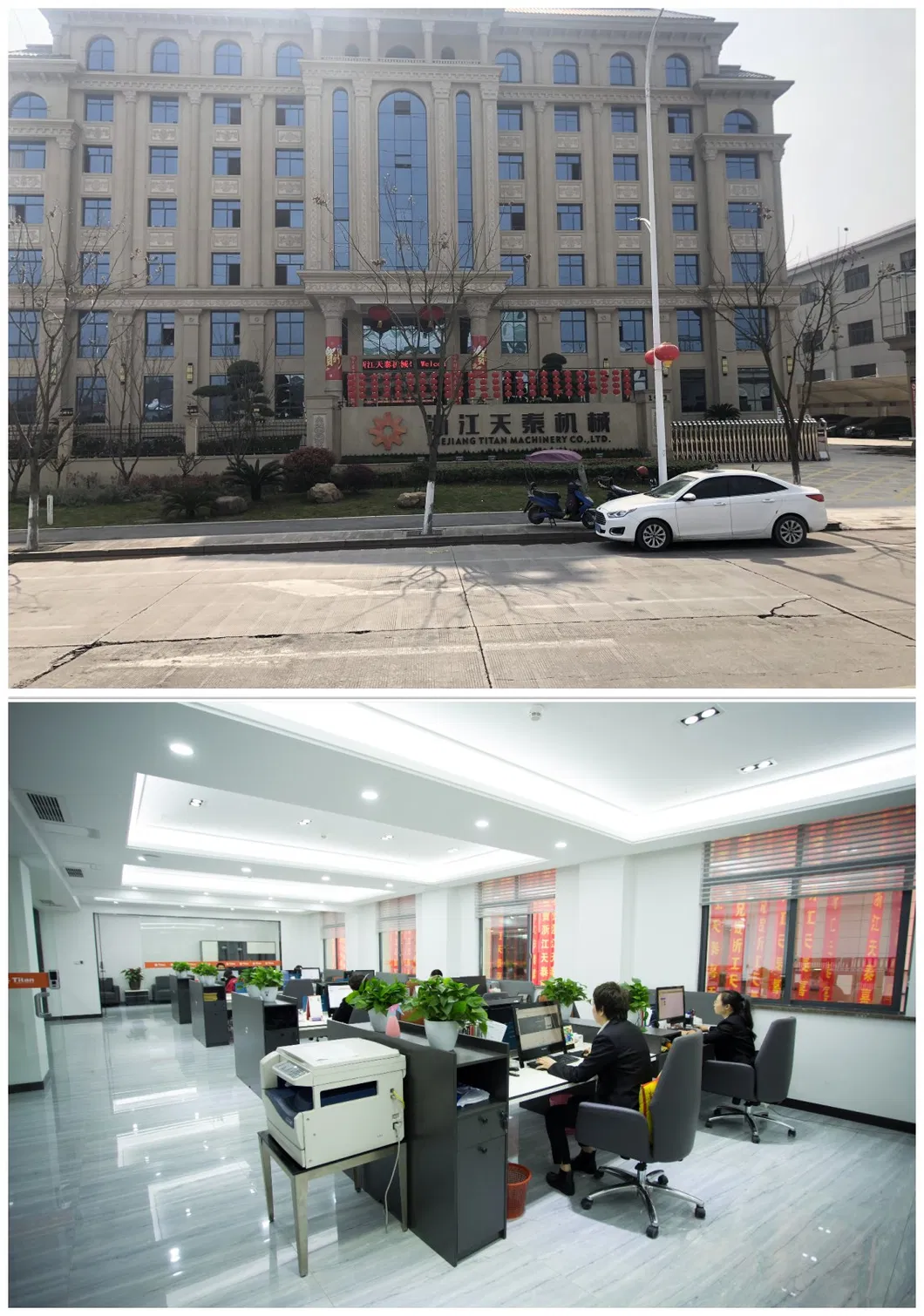 Small Power Gasoline/Petrol Grass Cutter (TT-BC305)