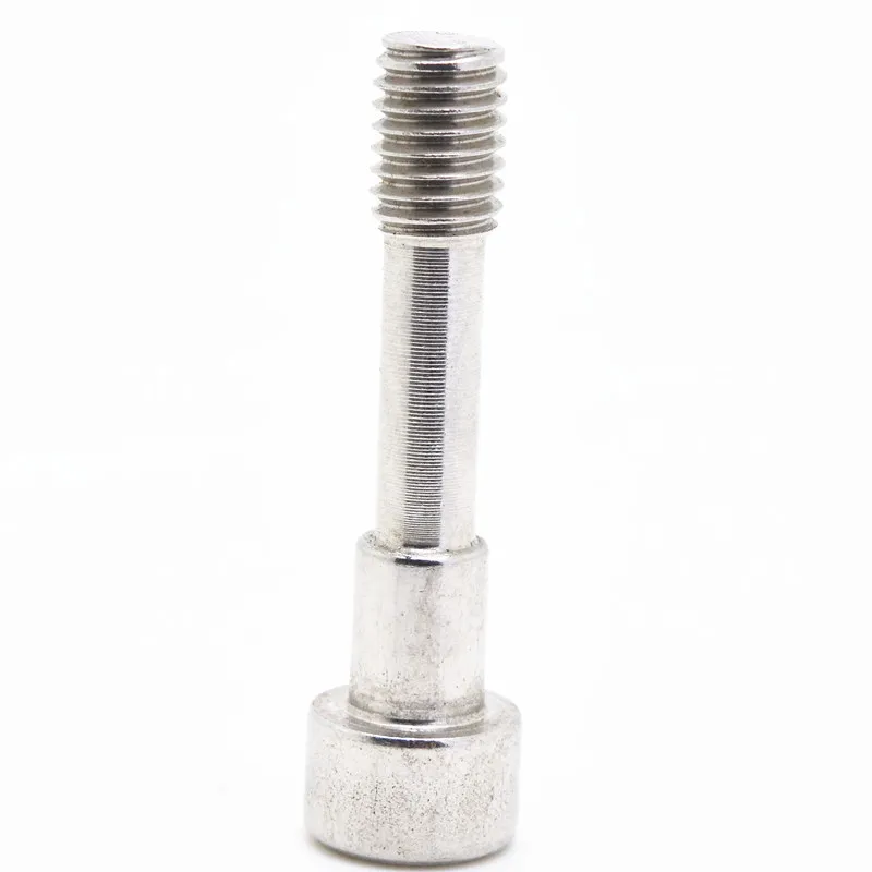 SS304 316 Hex Socket Screws with Shank