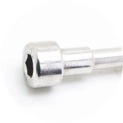 SS304 316 Hex Socket Screws with Shank