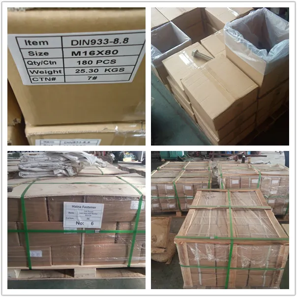 SS304 SS316 M6 M8 DIN318 Stainless Steel Wing Screws with Edged Wings