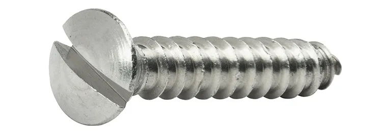 St4.2*16 SS304 Slotted Oval Head Self Tapping Screw