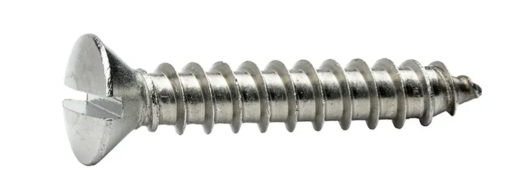 St4.2*16 SS304 Slotted Oval Head Self Tapping Screw
