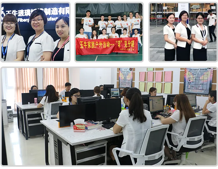 Strong Alkali-Resistant Used for Reinforce Cement High Modulus and Light Weight Fiberglass Mesh