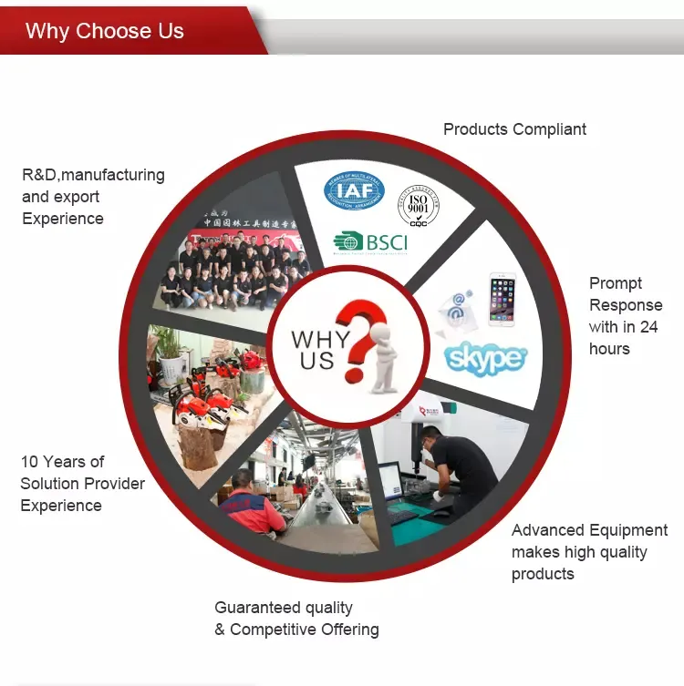 Top Selling 25cc Top Handle Gasoline Cheap Chain Saw Machine