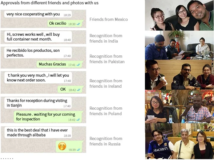 Trompeta De Tornillo De Cabeza Tornillos Drywall Screw