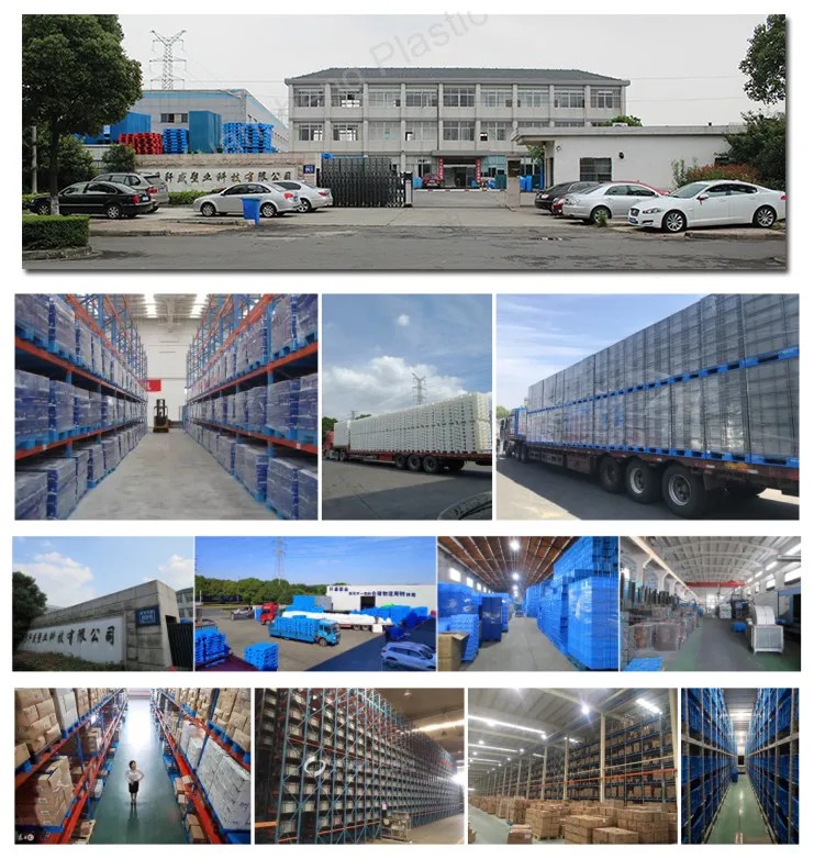 Warehouse Storage Products Asrs System Plastic Pallet