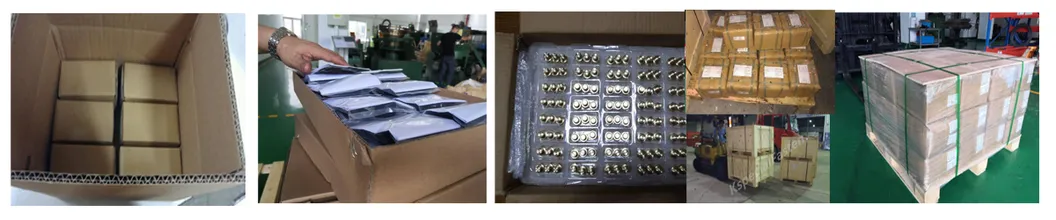 Wood Screws/Metal Screws/Hex Self Tapping Screws/Drywall Screw Zinc Coating